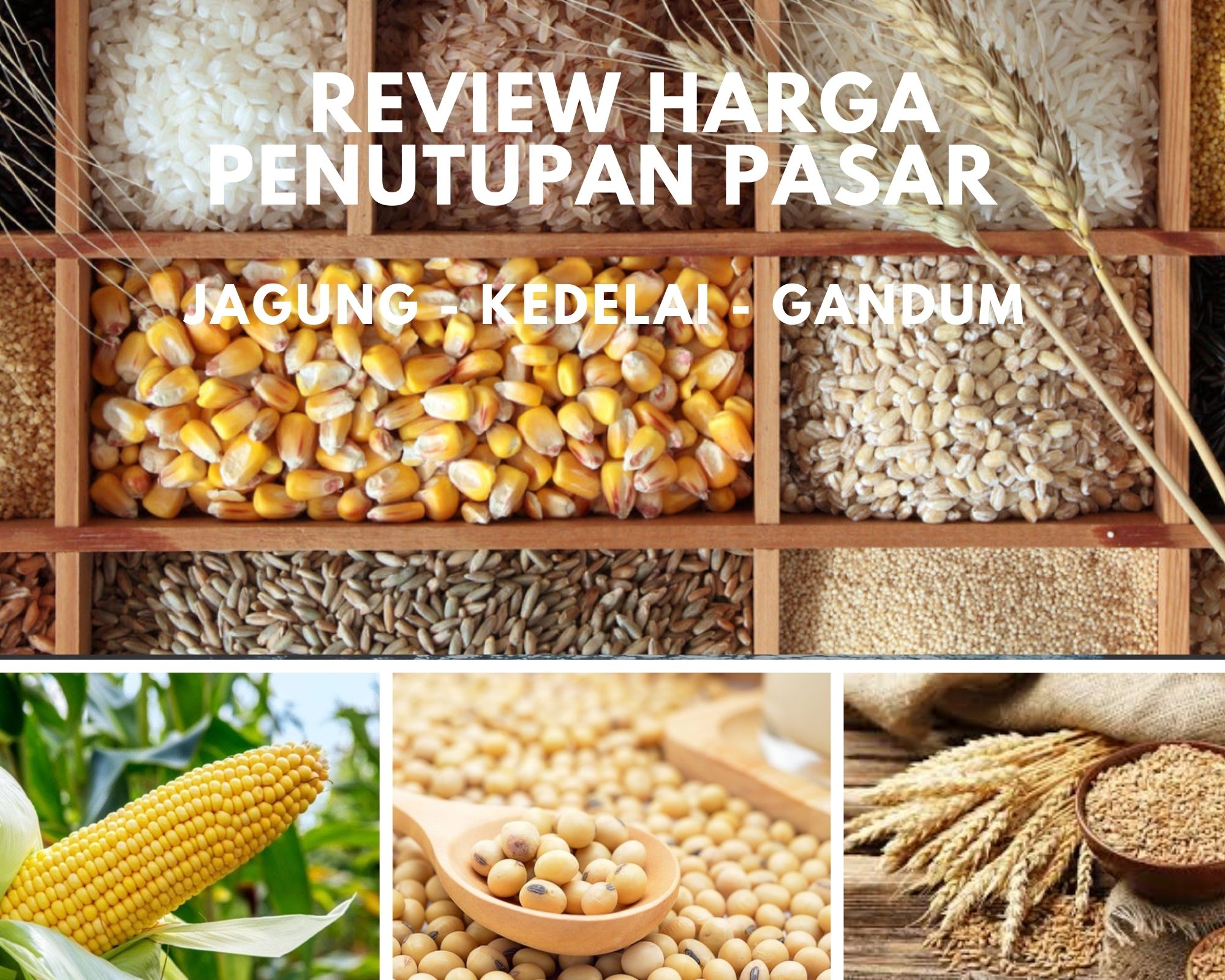 Harga Semua Biji-bijian Naik Kecuali Harga Jagung, Penutupan Pasar Hari