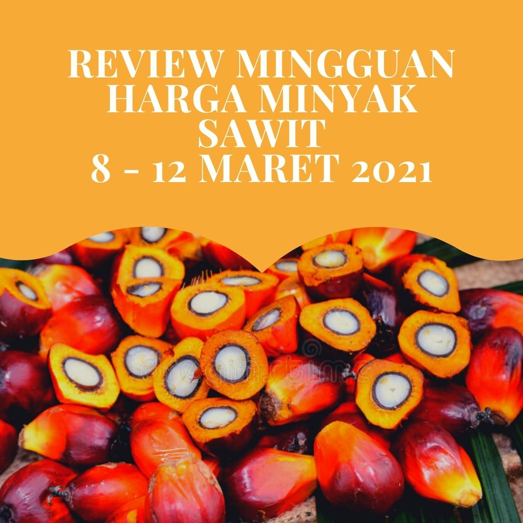 Review Mingguan Pergerakan Harga Dari Minyak Sawit 8 12 Maret 2021 Vibiznews Review Mingguan Pergerakan Harga Dari Minyak Sawit 8 12 Maret 2021 Vibiznews