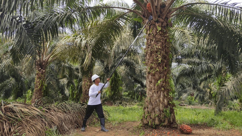 sektor saham idx Saham sektor a122 (distribusi batu bara)