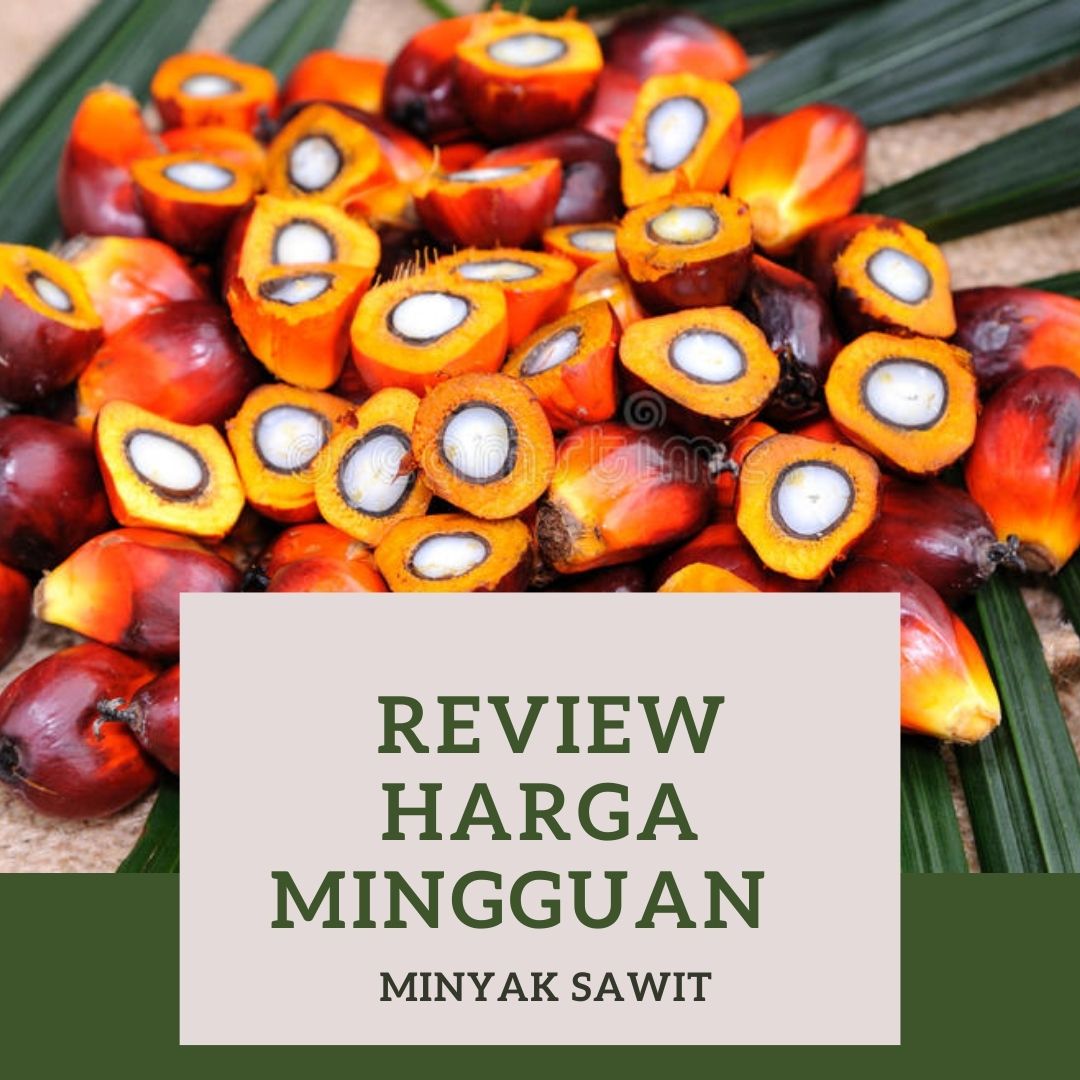 Review Mingguan Harga Minyak Sawit dari 31 Mei sampai 04 Juni 2021 -  Vibiznews.com