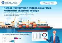 Neraca Pembayaran Indonesia Surplus