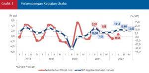 Perkembangan Kegiatan Usaha