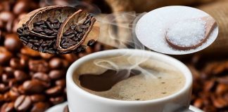review minggu ke II, kopi, gula kakao